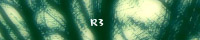 R3/������������